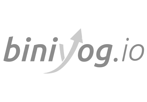 biniyog.io investment platform